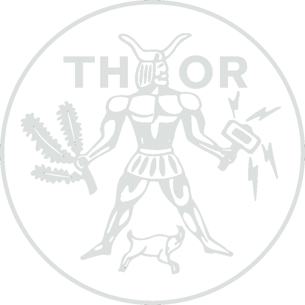 Thorlogo(1000x1000)white_transparant