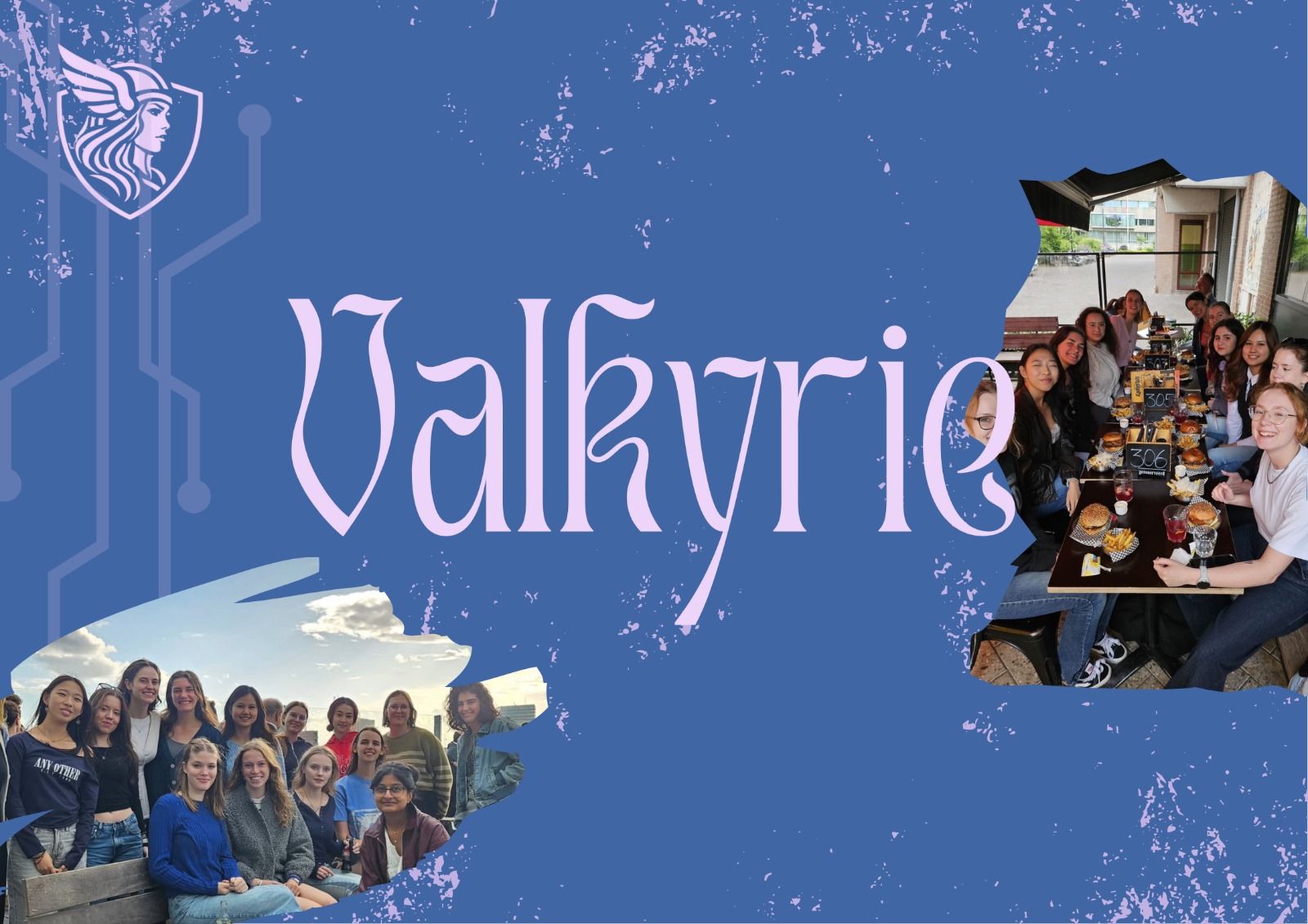 WhatsApp Image 2026-02-12 at 13.47.54