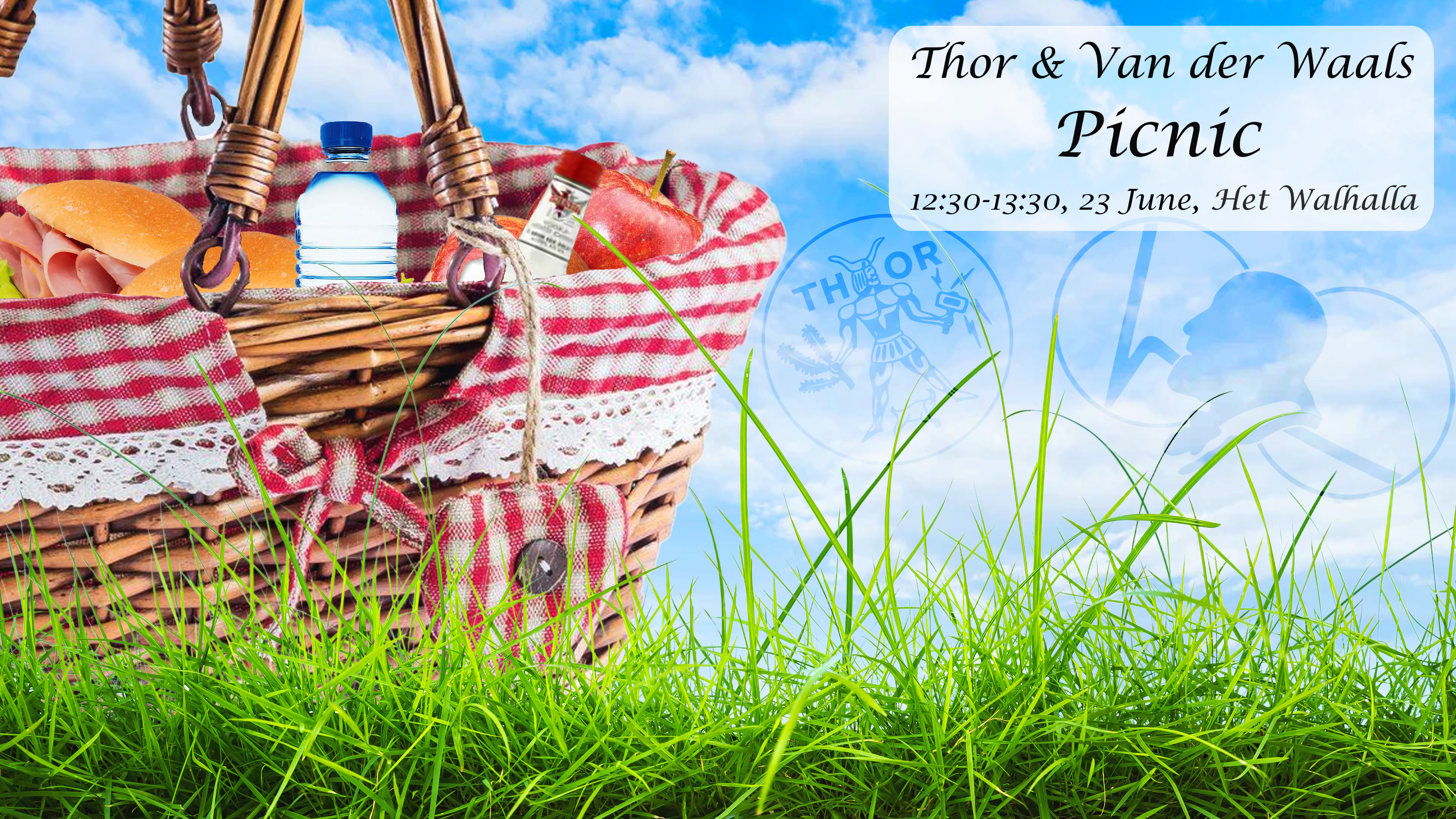 Picnic VdWaals Thor correct